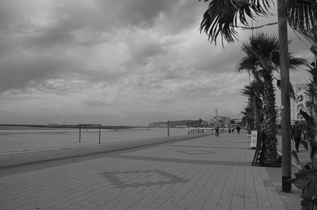 Conil de la Frontera